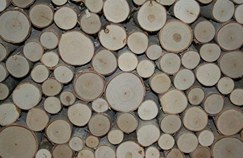 Wilson 8″-9″ Decorative White Birch Fill-A-Space Logs, Natural Home Décor – 1.5″-4″ Dia. (1 Sq. Ft)