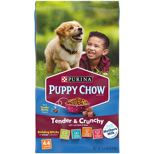 Purina Puppy Chow High Protein Dry Puppy Food, Tender & Crunchy With Real Beef – (4) 4.4 lb. Bags