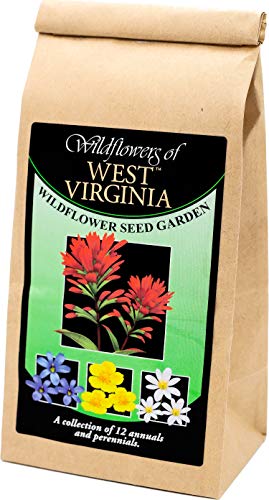 West Virginia Wildflower Seed Mix – 12 Varieties of Non-GMO Flower Seeds for Planting at Home