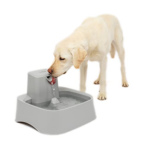 PetSafe Drinkwell Water Fountain for Cats, Dogs, or Multiple Pets – Automatic Water Bowl – Pump and Water Filter Included – Dishwasher Safe – Easy Clean Pet Dish – Water Dispenser – 2 Gallon/256 Ounce