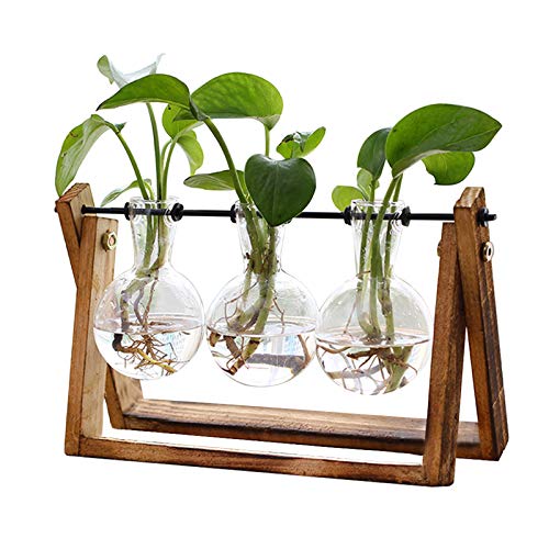 XXXFLOWER Plant Terrarium with Wooden Stand, Air Planter Bulb Glass Vase Metal Swivel Holder Retro Tabletop for Hydroponics Home Garden Office Decoration – 3 Bulb Vase