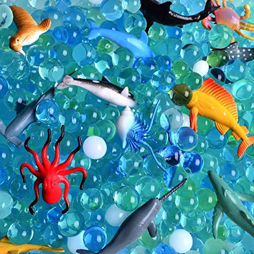 AINOLWAY Water Beads (Half Pound) for Ocean Explorers’ Tactile Sensory Experience – 5 Colors Growing Crystal Bead Ocean Exploration – Kit for Kids Sensory Play 20,000ct… (Ocean Sensory bin)