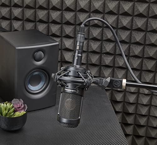 Audio-Technica AT2035 Large Diaphragm Studio Condenser Microphone (Renewed) | The Storepaperoomates Retail Market - Fast Affordable Shopping