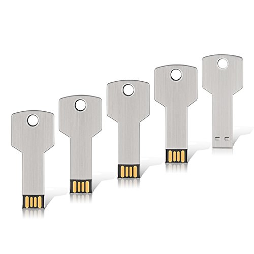 RAOYI 5 Pack 32GB USB Flash Drive USB 2.0 Metal Key Shape Memory Stick Thumb Drive Pen Drive-Silver