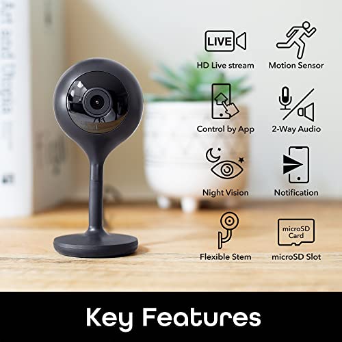Geeni Look Indoor Smart Security Camera, 1080p HD Surveillance with 2-Way Talk and Motion Sensor, Works with Alexa and Google Home, No Hub Required, Black (2 Pack) | The Storepaperoomates Retail Market - Fast Affordable Shopping
