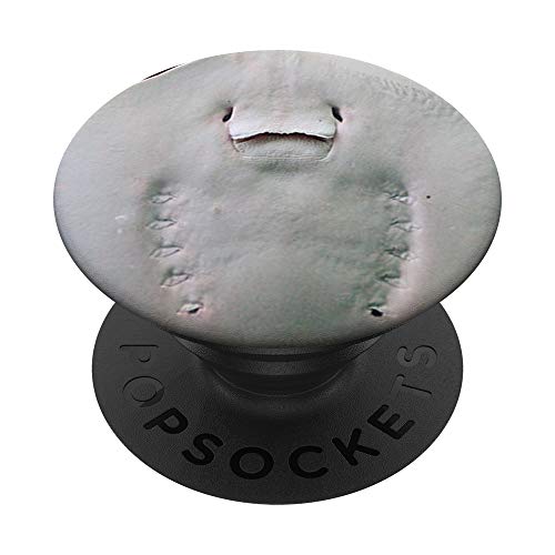 Cute Smiling Stingray PopSockets Swappable PopGrip