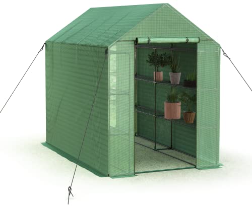 Sundale Outdoor Green House Kits to Build for Outside Winter,97 x 56 x 77 Inch Walk in Pop Up Greenhouses with Shelves,Indoor Outdoor Portable Zipper Greenhouse Tall with Roll Up Doors & Cover | The Storepaperoomates Retail Market - Fast Affordable Shopping