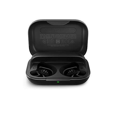 Replacement Echo Buds (1st Gen) Charging Case