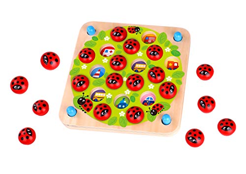Fat Brain Toys Ladybug’s Garden Memory Game Games for Ages 3 to 4