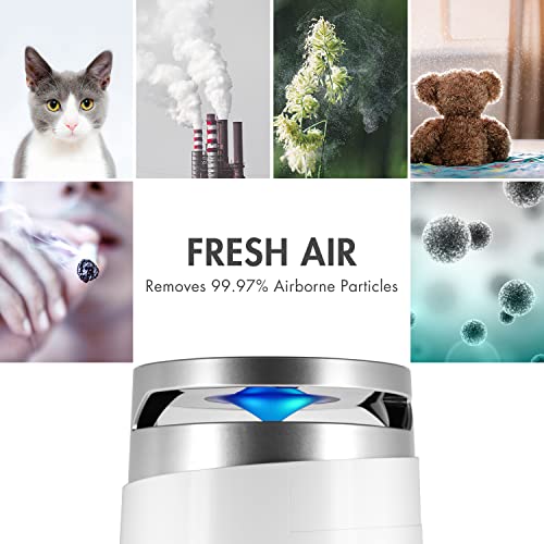 Tenergy Renair Air Purifier, H13 HEPA Filter, Ultra Quiet Air Cleaner, Odor Allergies Eliminator, Home Air Purifier for Smokers, Dust, Guardian Touch Control with Night Light | The Storepaperoomates Retail Market - Fast Affordable Shopping