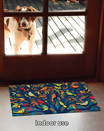 Toland Home Garden 800435 Colorful Birds Bird Door Mat 18×30 Inch Fall Outdoor Doormat for Entryway Indoor Entrance | The Storepaperoomates Retail Market - Fast Affordable Shopping
