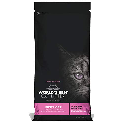 World’s Best Cat Litter Picky Cat, Clumping Cat Litter, Flushable with Natural Attractive Scent for All Cats, 10.89 kg