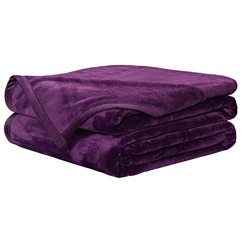 EASELAND Soft Blanket Twin Size Blanket All Season Warm Fuzzy Microplush Lightweight Thermal Fleece Blankets for Couch Bed Sofa,66×90 inches,Purple