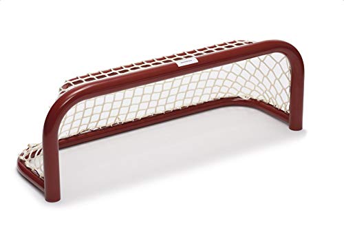 RinkMaster Outdoor Hockey Net for Pond or Backyard Sports