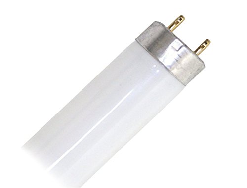 F15T8/CW 15 Watt T8 Fluorescent Tube Light Bulb