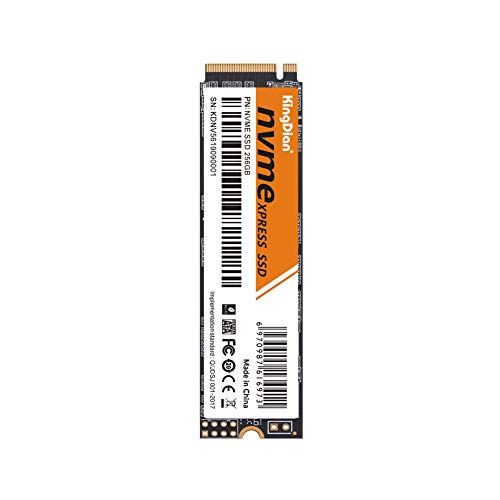 KingDian 120GB 240GB 256GB PCIe NVMe M.2 2280 Internal SSD High Performance Solid State Drive (NVME 256GB)