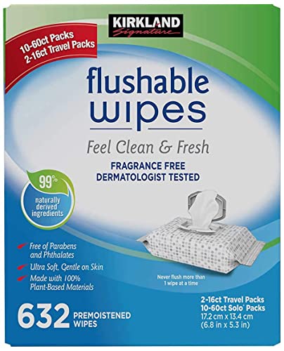 Kirkland Signature Moist Flushable Enhanced Cleansing & Freshness Ultra Soft Hypoallergenic Plant-Based Wipes – 632 Count
