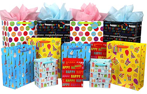 Fzopo Birthday Gift Bag Assortment with Ribbon Handle, 12 Pcs Premium Quality Assorted Sizes Paper Bags Set, XL 13x17x6.5, Large 12x15x4.8, Medium 7x9x4.2 inches, 6 Designs | The Storepaperoomates Retail Market - Fast Affordable Shopping