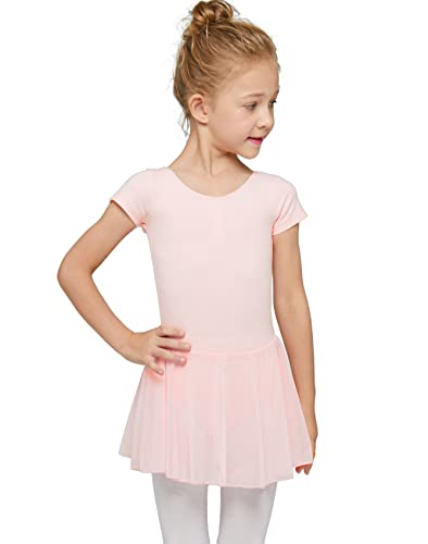 MdnMd Kids Girls Classic Ballet Dance Leotard with Tutu Skirt Dress Costume (Ballet Pink, Age 10-12)