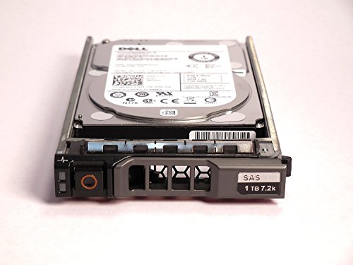 DELL 1TB 7.2K SAS 2.5″ 6Gbps HDD Compatible with PowerEdge M610, M610x, M710, M710HD, R320, R420, R610, R710, R715, R810, R815, R820, R910, T610, T710, and PowerVault MD1120, MD1220, MD3220, MD3220i S