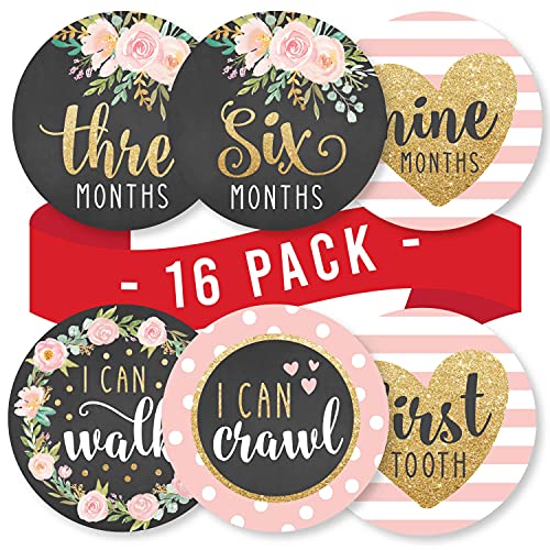 16 Monthly Baby Milestone Stickers Girl – Floral Baby Monthly Milestone Stickers For Baby Girl, Milestone Baby Monthly Stickers, Baby Month Stickers For Baby Photo Props, Monthly Baby Stickers Girl