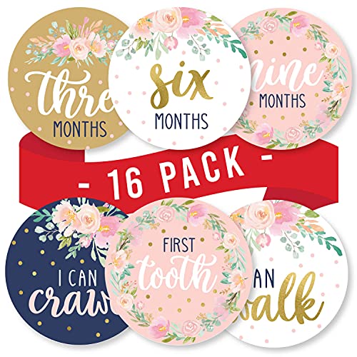 16 Monthly Baby Milestone Stickers Girl – Floral Baby Monthly Milestone Stickers for Baby Girl, Milestone Baby Monthly Stickers, Baby Month Stickers for Baby Photo Props, Monthly Baby Stickers Girl
