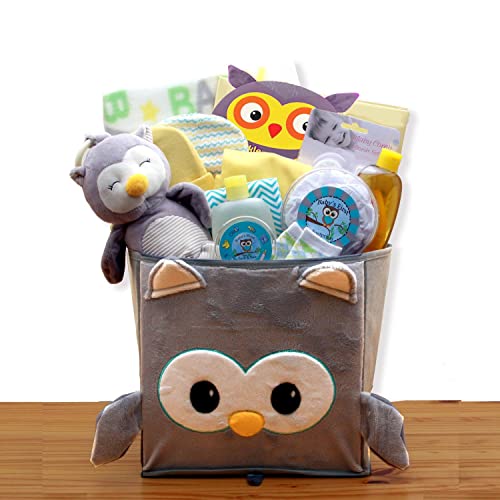 Fast Free 1-3 Day delivery on A Little Hoot New Baby Gift Basket – Baby Gift