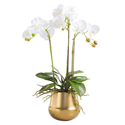 Fudostar Artificial Silk Moth Orchid Flowers Potting in Matte Gold Ceramic Vase, Real Touch Natural Looking Phalaenopsis Flowers and Greens, Centerpiece Decor (Arc-Shaped White)