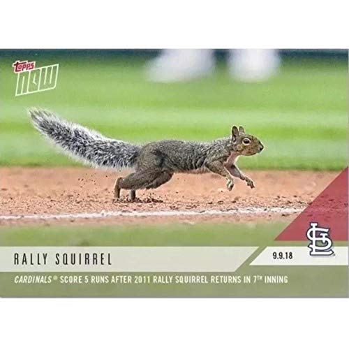 2018 Topps Now Baseball #709 Rally Squirrel St. Louis Cardinals 2011 Rally Squirrel Returns in 7th Inning Limited Print Run Trading Card SOLD OUT at Topps
