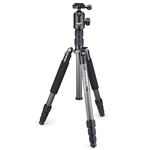RT40C Professional Carbon Fiber Tripod for Digital Camera tripode Suitable for Travel Series Camera Stand