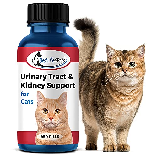 BestLife4Pets Cat UTI Urinary Tract Infection & Kidney Support Treatment – All Natural Medicine to Stop Frequent Urination – Cats Renal Health and Bladder Control – Easy to Use Natural Pills