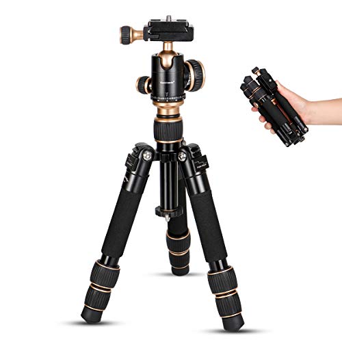 Koolehaoda Portable Tabletop Mini Tripod,8-20inch Height Adjustable Compact Desktop Macro Mini Tripod with Carrying Bag,Weight only 1.5lbs / 0.68kg