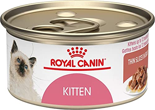 Royal Canin Feline Health Nutrition Thin Slices in Gravy Variety Pack Wet Kitten Food, 3 oz., Count of 12, 12 CT
