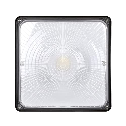 Cinoton 60W Led Canopy Light, (400-500W Hps/Hid Replacement), 5000K (Crystal White Glow), 8000 Lumens, Waterproof and Outdoor Rated
