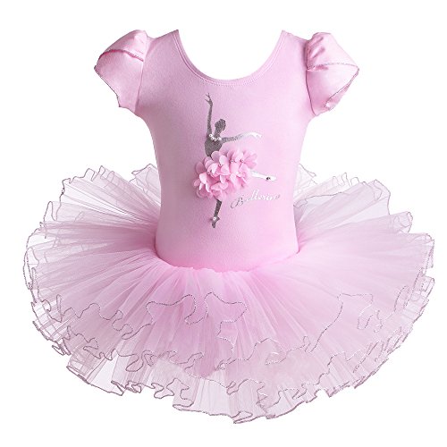 BAOHULU Leotard for Girls Ballet Dance Short Sleeve Full Tulle Tutu Skirted Dress Ballerina Costumes B160_Pink_M