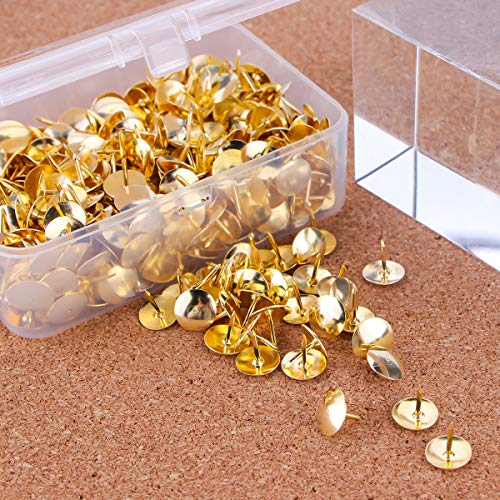Yalis Thumb Tacks 500-count, 3/8-inch Steel Roundness Push Pins Office Tacks for Corkboard (Gold) | The Storepaperoomates Retail Market - Fast Affordable Shopping