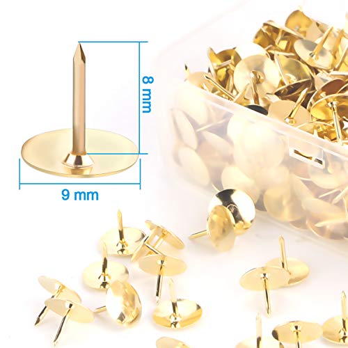 Yalis Thumb Tacks 500-count, 3/8-inch Steel Roundness Push Pins Office Tacks for Corkboard (Gold) | The Storepaperoomates Retail Market - Fast Affordable Shopping