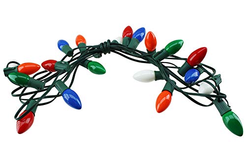 LITE-WAY Holiday Indoor/Outdoor String Lights, 25’ Pro-Series, Commercial Grade Light String with Light Bulbs, 25 C9 Light Bulbs Included (Ceramic Multi-Color)