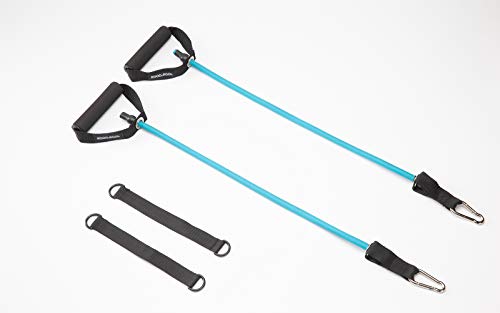 RGGD&RGGL Yoga Ball Resistance Bands, Resistance Exercise Bands for Home Fitness, Strength Training, Physical Therapy, Workout Bands Compatible with Stability Ring (15-20 lbs)