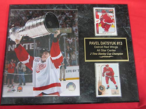 Pavel Datsyuk Red Wings 2008 Stanley Cup Champions 2 Card Collector Plaque w/8×10 Stanley Cup Photo