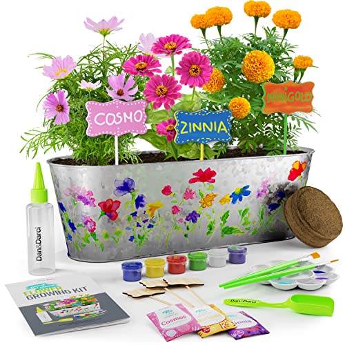 Dan&Darci Paint & Plant Flower Craft Kit for Kids – Best Birthday Crafts Gifts for Girls & Boys Age 5 6 7 8-12 Year Old Girl Gift – Children Gardening Kits, Art Projects Toys for Ages 5-12 Years