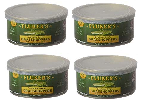 Fluker’s Gourmet Style Canned Grasshoppers 1.2 oz – Pack of 4
