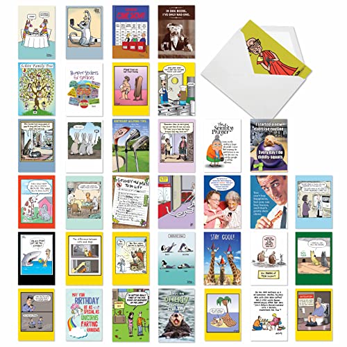 NobleWorks – Variety Pack of 36 Assorted Funny Birthday Cards Bulk Box Set w/Envelopes, Edgy Humor B-Day for Men, Women (36 Designs, 1 Each) – Birthday Favorites AC2911BDG-B1x36