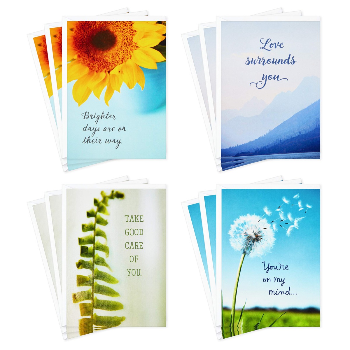 Hallmark Sympathy, Get Well, Thinking of You Cards Assortment, Take Good Care, Multi-Lingual (5STZ5097) | The Storepaperoomates Retail Market - Fast Affordable Shopping