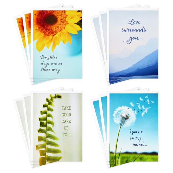 Hallmark Sympathy, Get Well, Thinking of You Cards Assortment, Take Good Care, Multi-Lingual (5STZ5097)