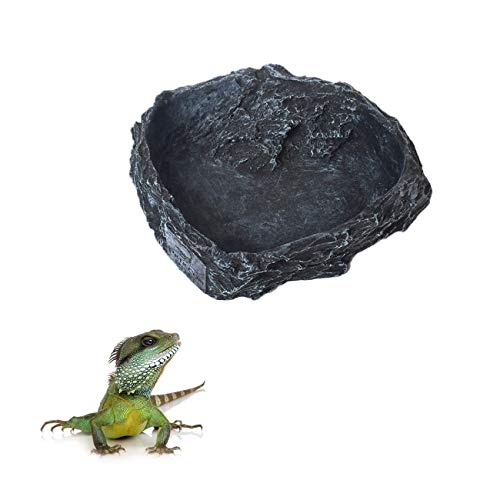 Reptile Feeding Bowl Food Water Resin Dish for Pet Vivarium Tortoise Gecko Insect Crickets Snake