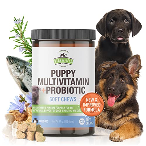 Puppy Multivitamin + Puppy Probiotic Soft Chews | Glucosamine Chondroitin, Probiotics, Omega 3 Salmon Oil | Puppy Vitamins and Supplements | Dog Health Supplies
