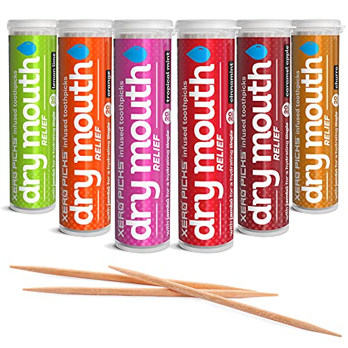 Xero Picks Dry Mouth – Infused Flavored Toothpicks for Long Lasting Fresh Breath & Dry Mouth Prevention (Variety 6 Pack)