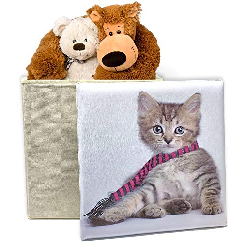 BANBERRY DESIGNS Kitten Storage Bin – Padded Kitty Cover – Container with Lid – Neutral Colors for Home Décor – 12″ Square Organizing Box