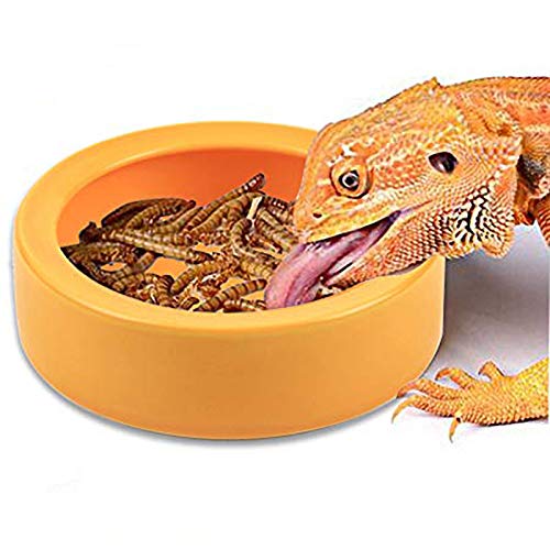 TDPET Ceramic Mini Reptile Worm Dish – Lizard Escape Proof Feeding Bowl Circular (Large-1Pack, Orange)